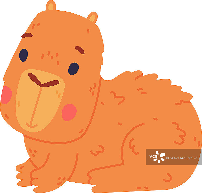 可爱的水豚宝宝图片素材