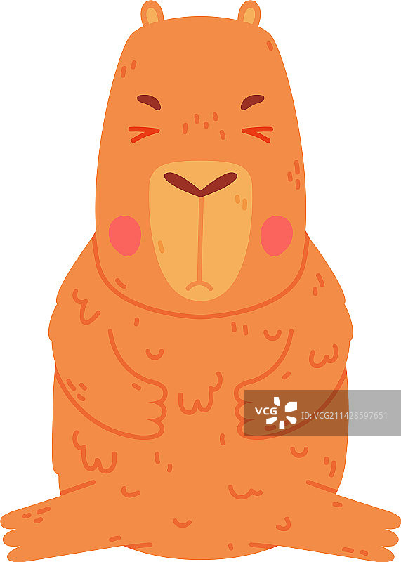 可爱的水豚宝宝坐在地上图片素材