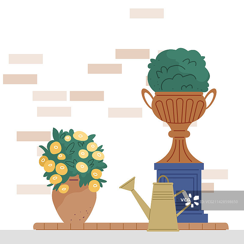 盆栽室内花园植物和鲜花图片素材