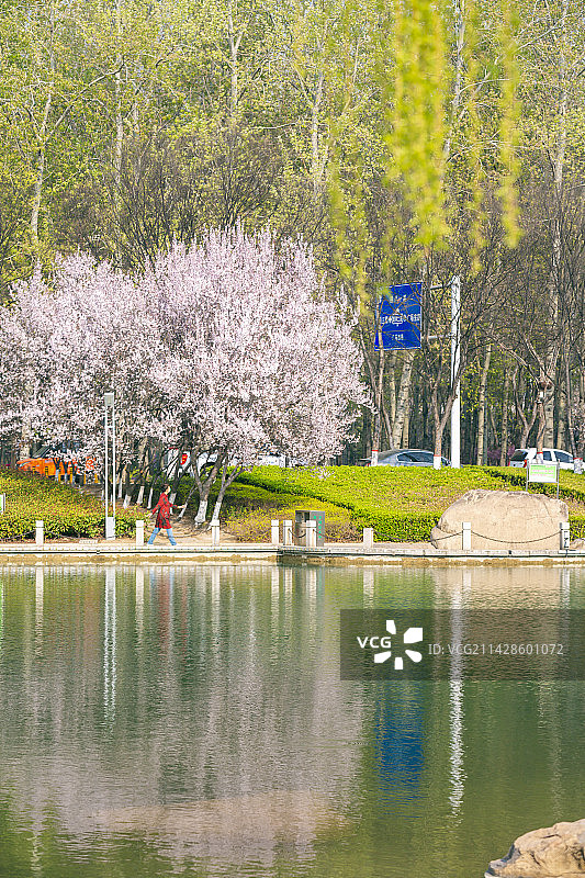 市民公园一角图片素材