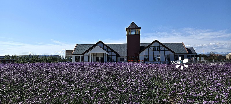 薰衣草庄园图片素材