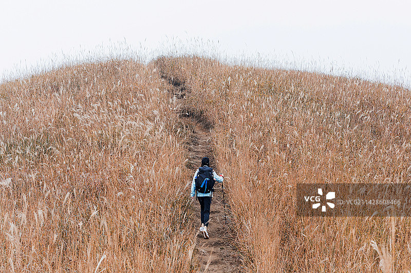 秋季户外武功山爬山徒步的年轻女人图片素材