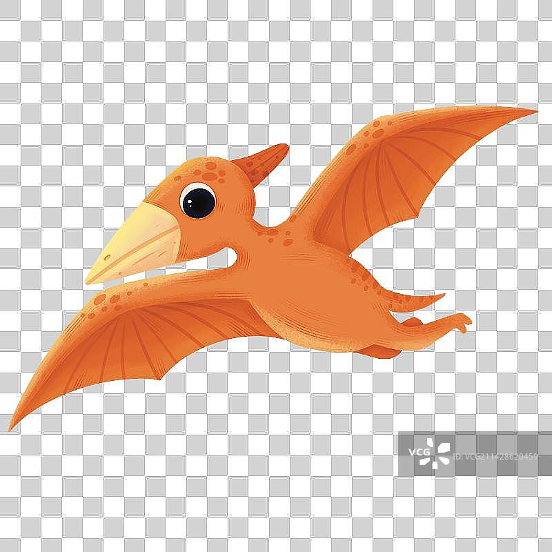 轻质感动物恐龙翼龙插画图片素材