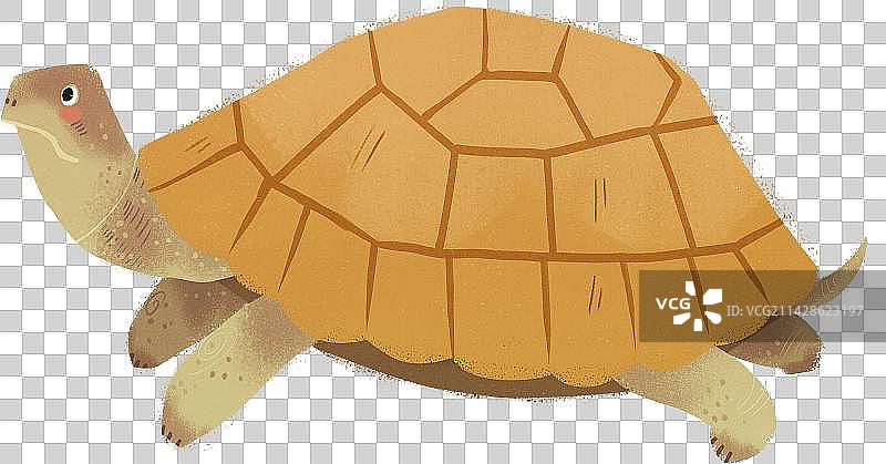 爬行的乌龟儿童插画元素图片素材
