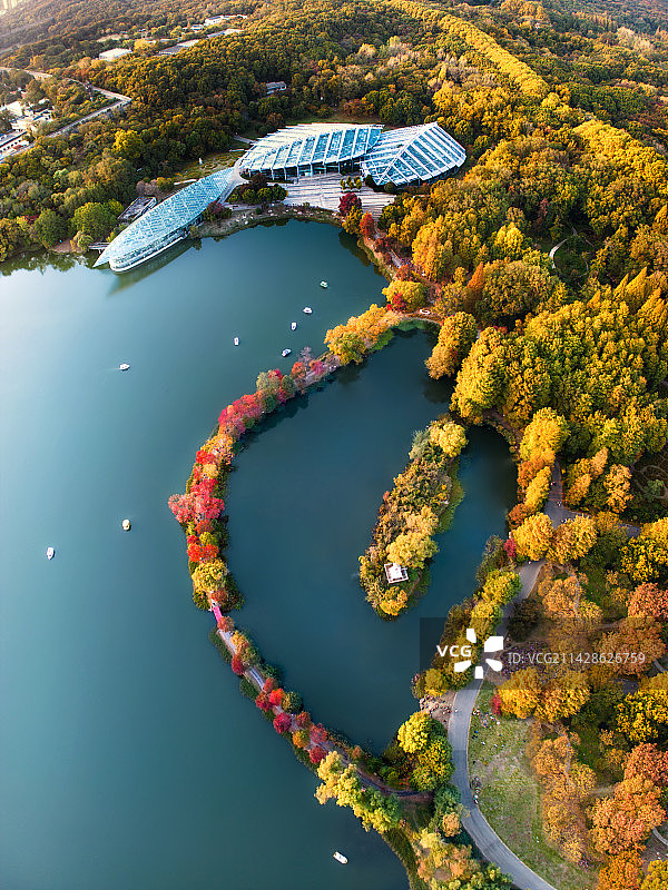 「 智镜 · 影像 」 金秋的前湖 - 南京图片素材