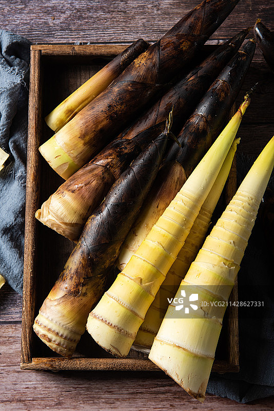 新鲜的春笋竹笋图片素材