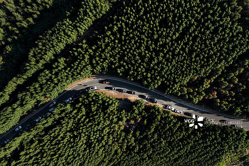 空中俯拍绿树环绕的林间公路图片素材