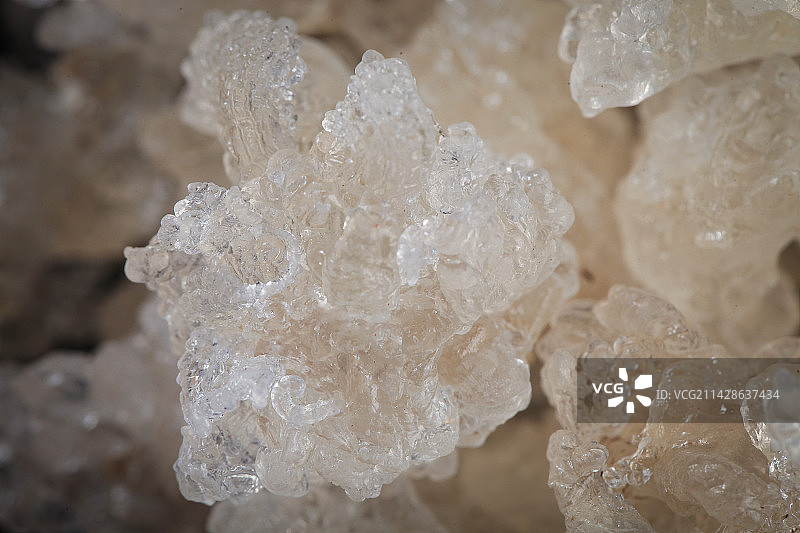 雪燕纹理图片素材