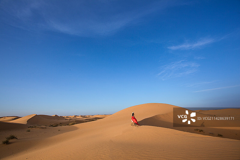 银川沙坡头景区的沙丘图片素材