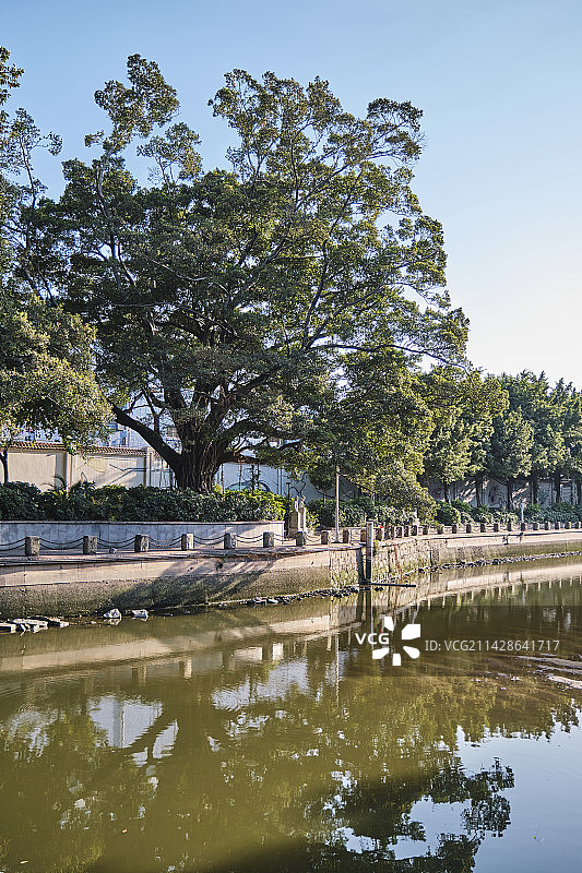广州芳村杏花大街河涌河道公园绿树图片素材