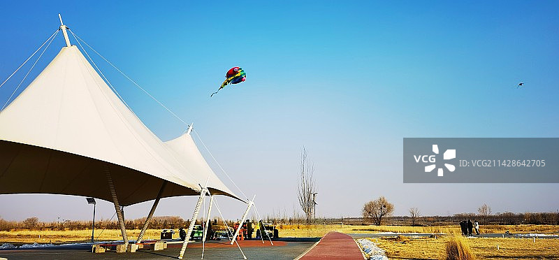 人们在晴空中放风筝图片素材