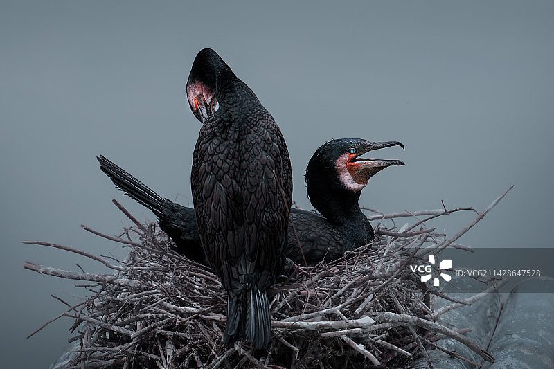 DSC02193图片素材