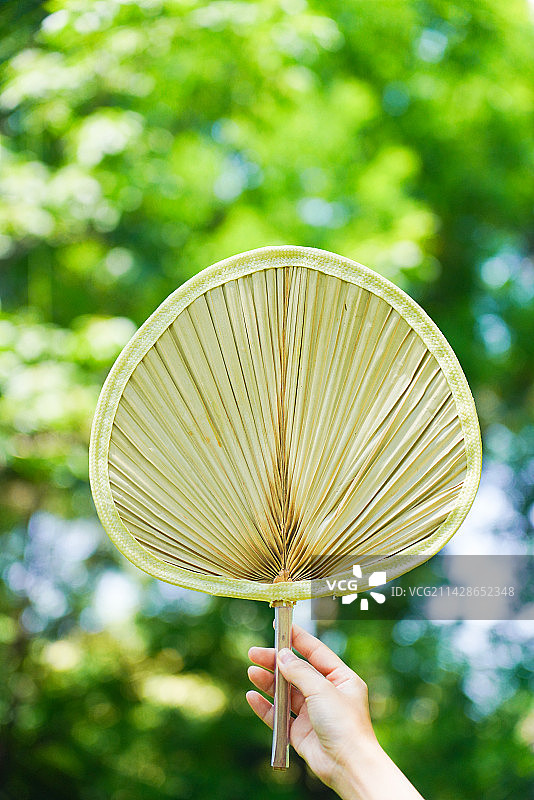 夏至夏季手拿扇子图片素材