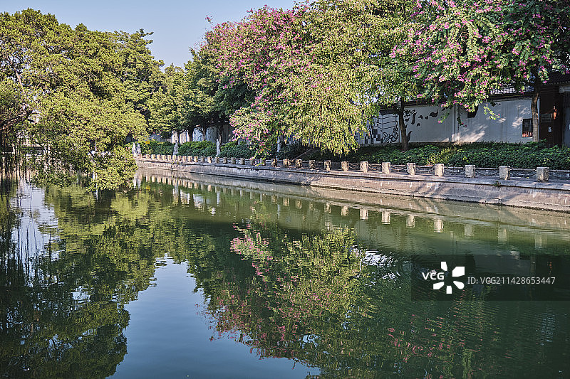 广州芳村杏花大街河涌河道公园绿树水面倒影图片素材