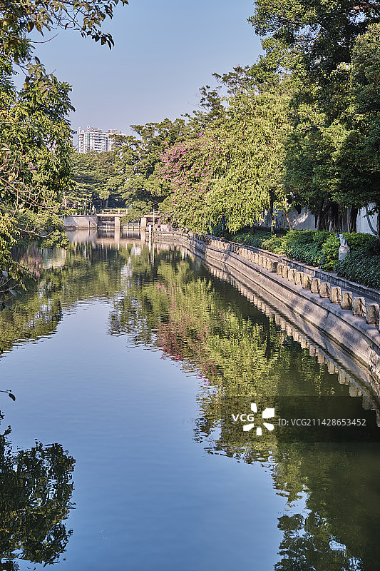 广州芳村杏花大街河涌河道公园绿树水面倒影图片素材