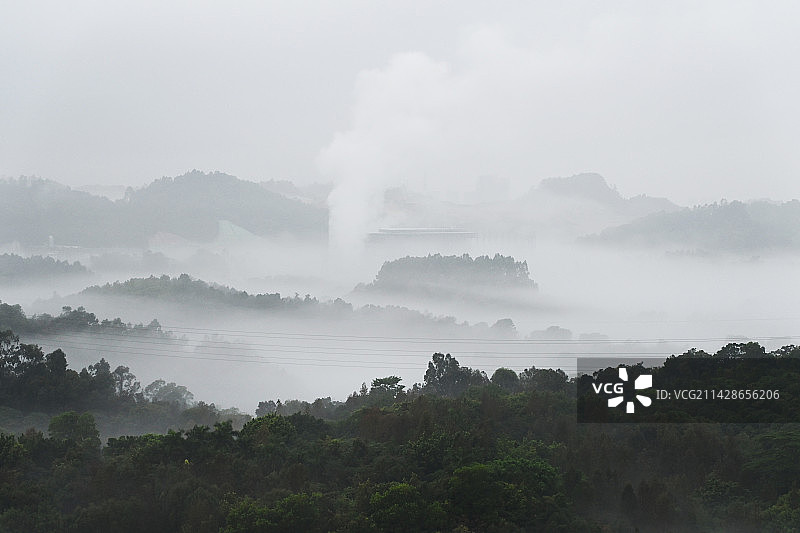 森林上方的平流雾图片素材