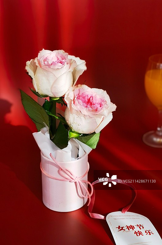 静物女神节祝福（桌上花瓶里的玫瑰特写镜头）图片素材