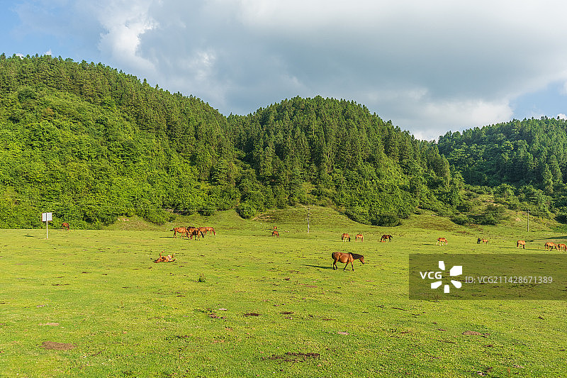 重庆武隆仙女山图片素材