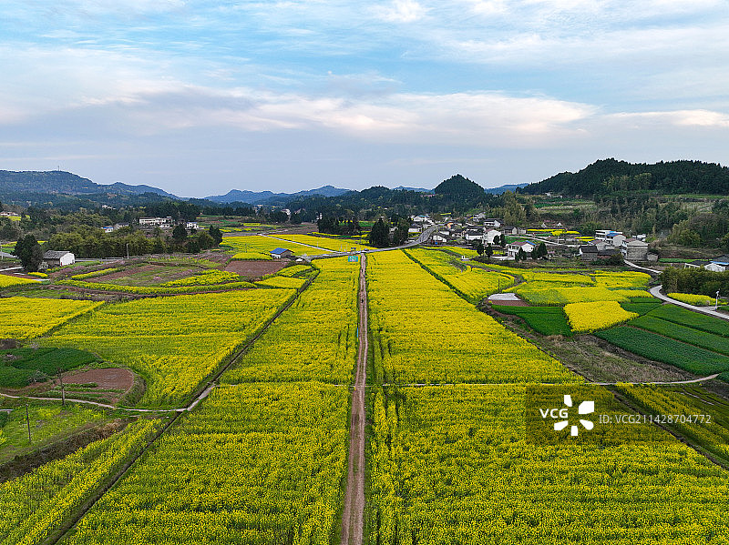 四川省南充市西充县2023年第十一届桃花季油菜花打卡地航拍图片素材