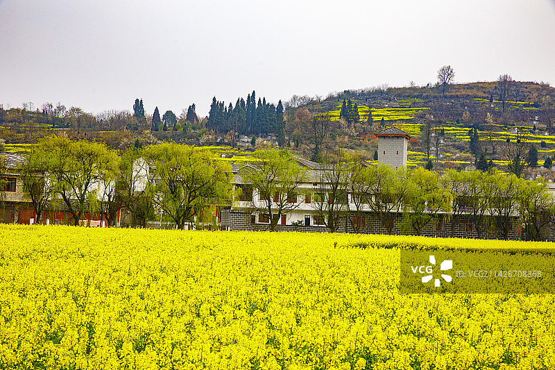 全国重点文物保护单位，著名景点，中国贵州安顺市西秀区七眼桥云峰屯堡云山屯本寨古建筑群，油菜花图片素材