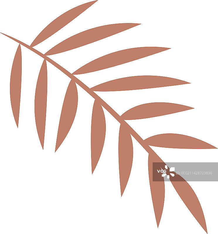 扁平风格树叶枝图片素材