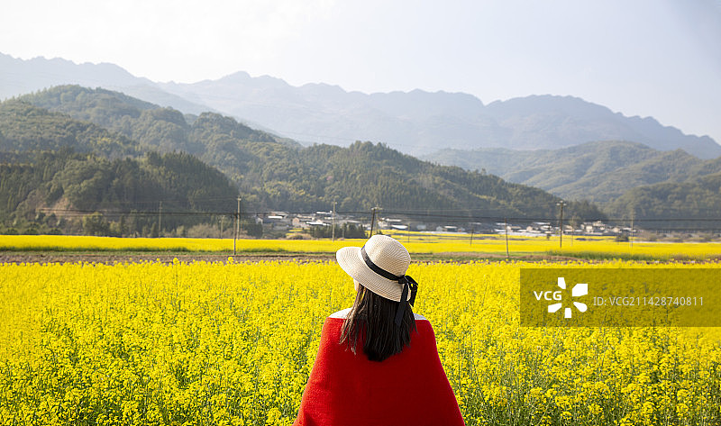云南省腾冲市“界头乡油菜花”图片素材