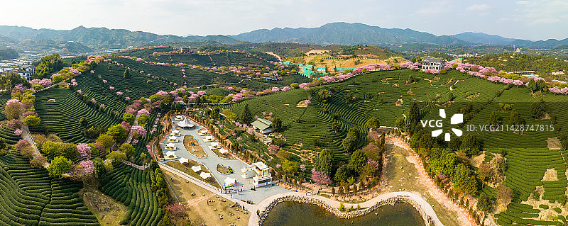 航拍福建省漳平市永福台品樱花茶园图片素材