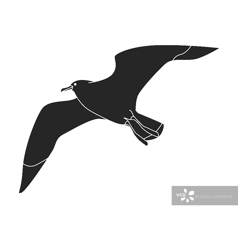 海鸥图标黑色Logo图片素材