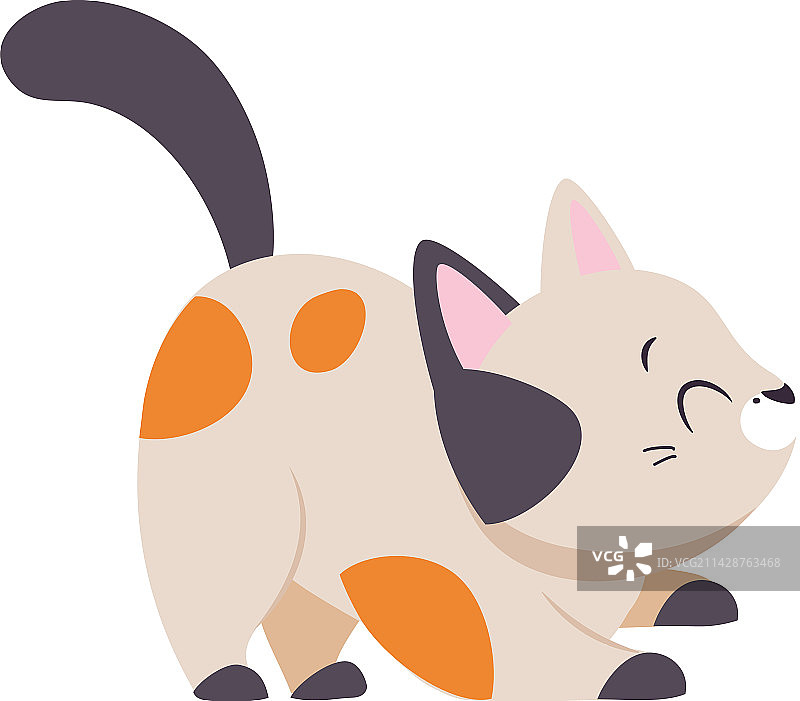 可爱的顽皮斑点猫宠物图片素材