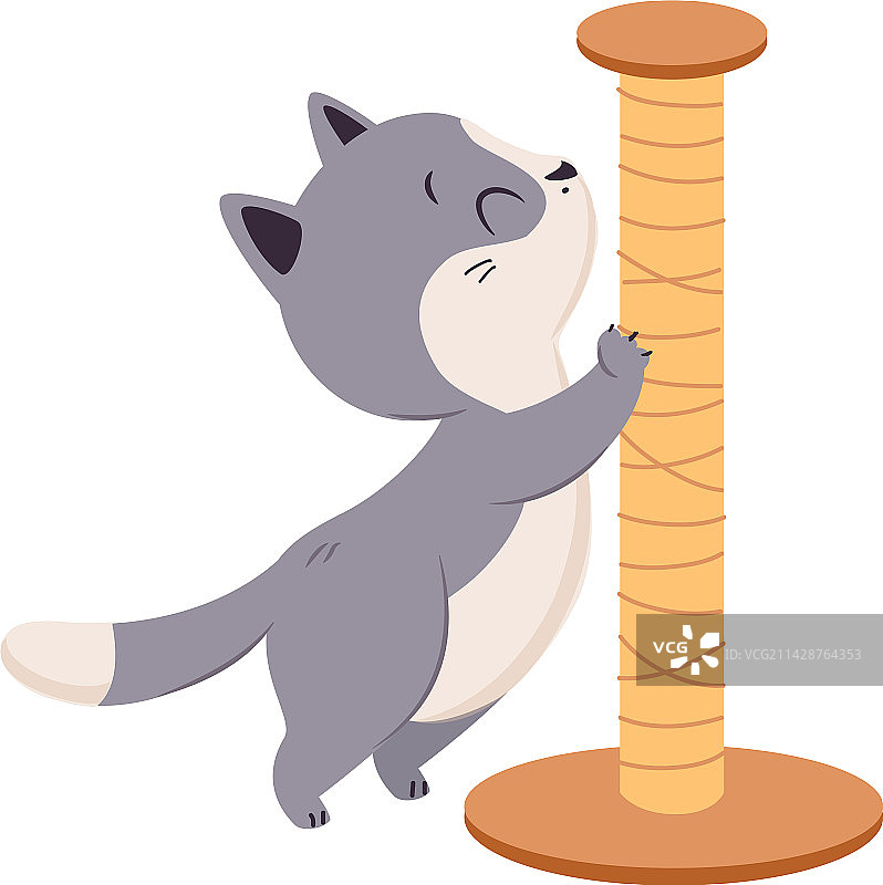灰色短毛猫挠爪子图片素材