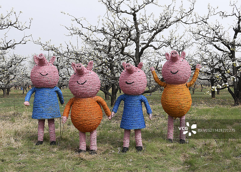 山东枣庄滕州市刘村梨园中稻草制作的小猪佩奇雕塑和洁白的梨花相映成景图片素材