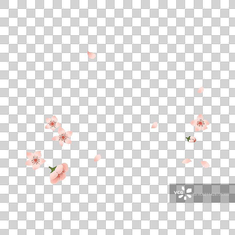 空中漂浮的樱花图片素材