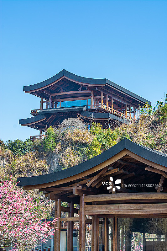 杭州国家版本馆 杭州余杭良渚 中国国家版本馆 文化景点 传统风格建筑图片素材