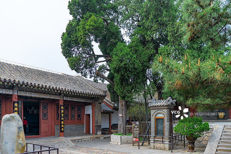 中国山东泰安著名景点泰山旅行旅游目的地，泰山第一行宫岱庙，东御座的李斯石碑和松树，户外白昼无人图像图片素材