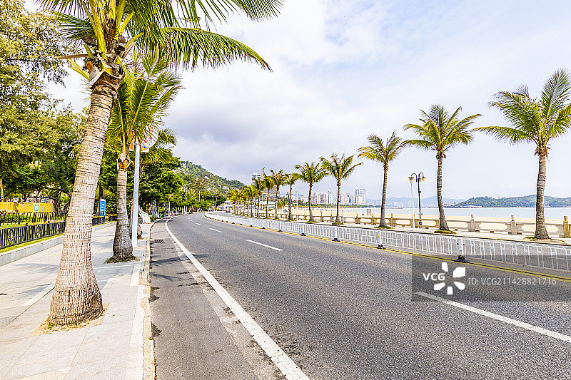 珠海情侣路图片素材