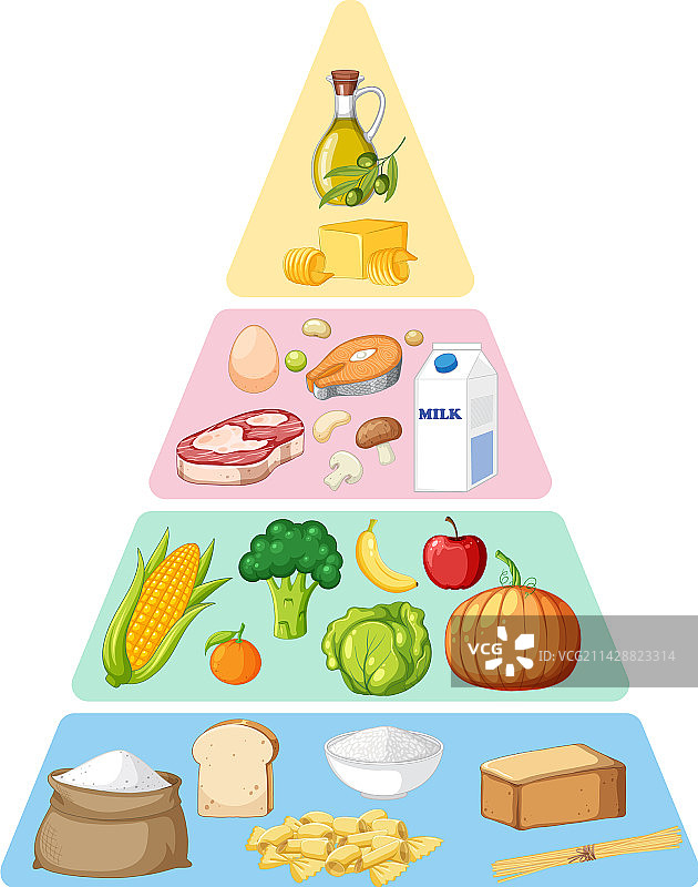 食品营养金字塔图片素材