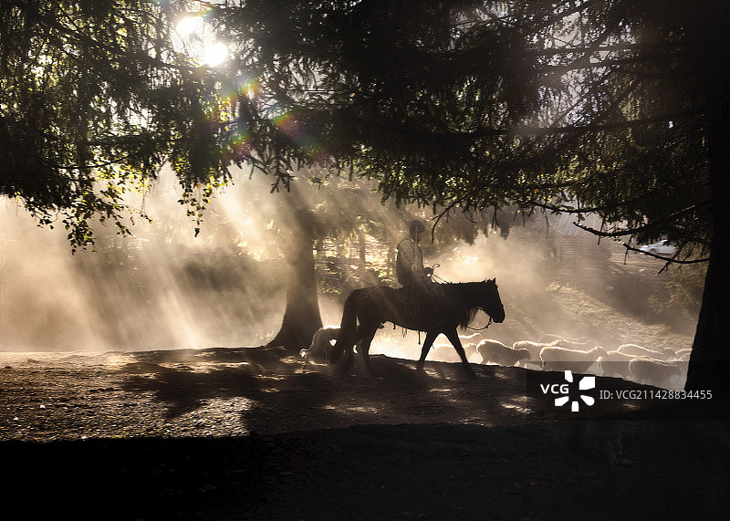 转场道上的牧民图片素材