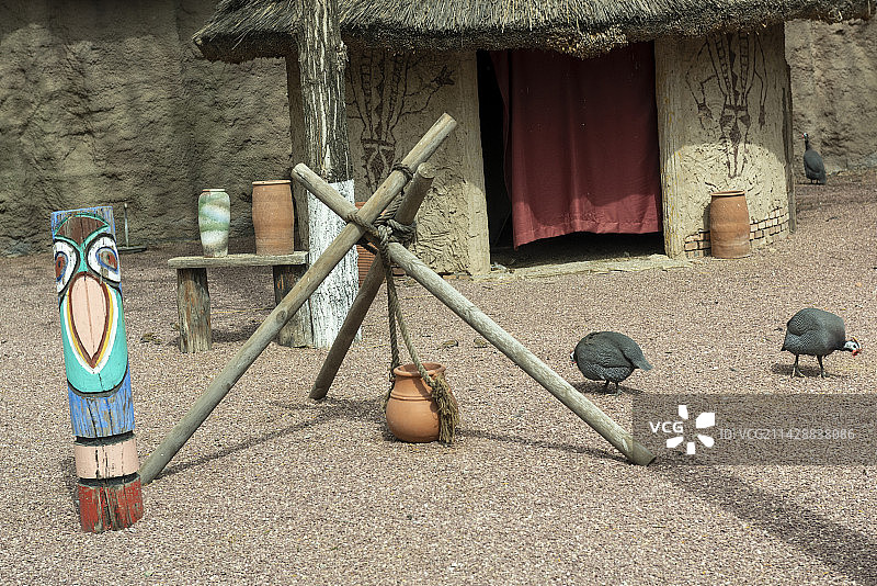 北京大兴野生动物园的珍珠鸡图片素材