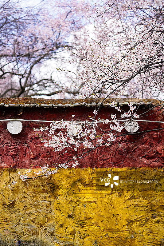 林芝波密倾多强巴林寺图片素材