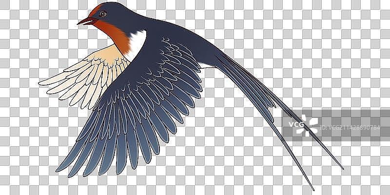 春天燕子飞舞古风手绘免抠元素图片素材