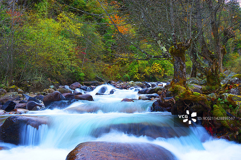 理县上孟的秋天图片素材