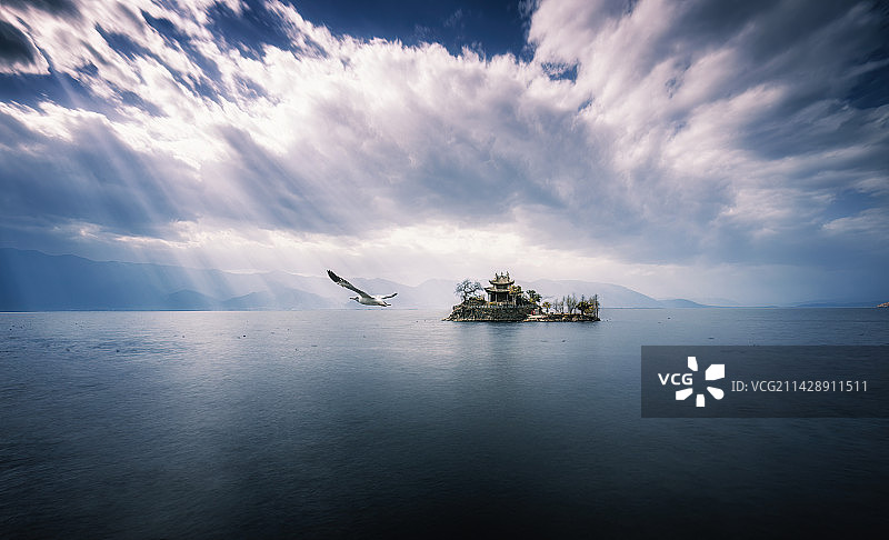 小普陀春光图片素材