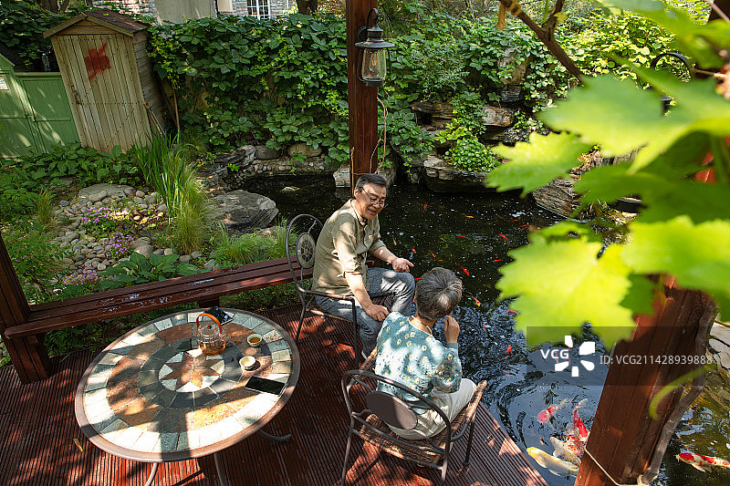 老年夫妇在院子里喝茶喂鱼图片素材