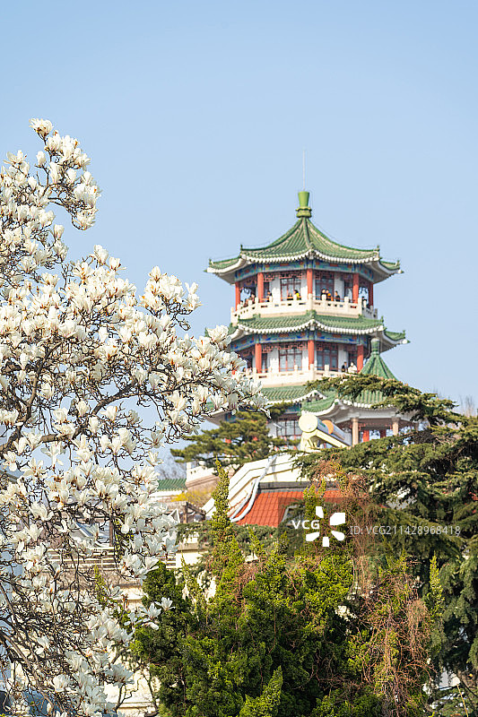 青岛小鱼山海岸图片素材