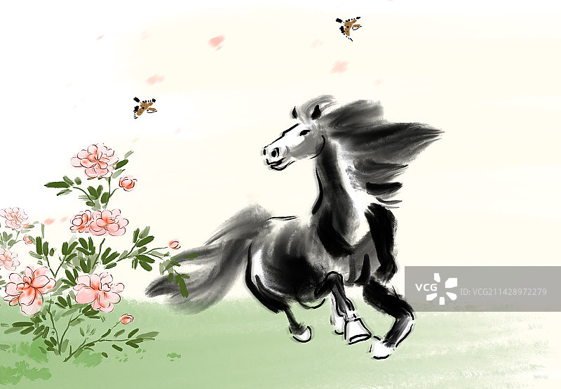 白色背景上的马的高角度视图图片素材