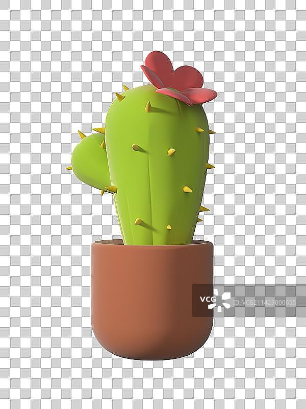 粉色花朵盆栽仙人掌磨砂质感-3D渲染图片素材