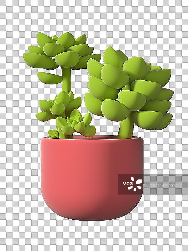 粉色盆子多肉植物盆摘磨砂质感-3D渲染图片素材