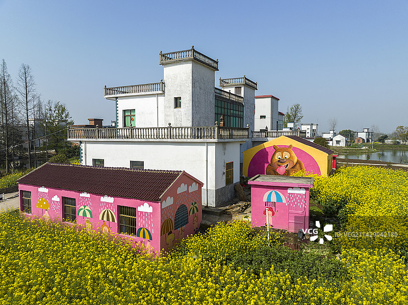 航拍安徽省芜湖市鸠江区白茆油菜花风光图片素材