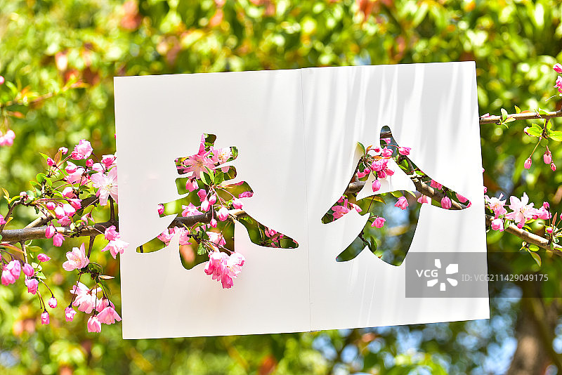 春分节气创意图花卉图片素材