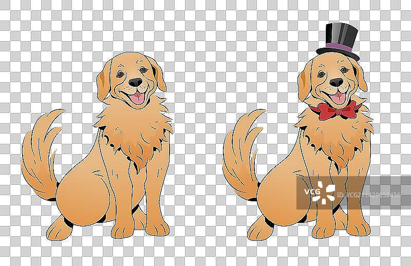 金毛犬卡通插画元素图片素材